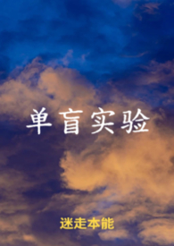 单盲实验小说